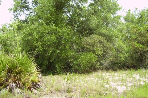 Terreno en venta en Kissimmee, Florida № 2204335 - foto 4