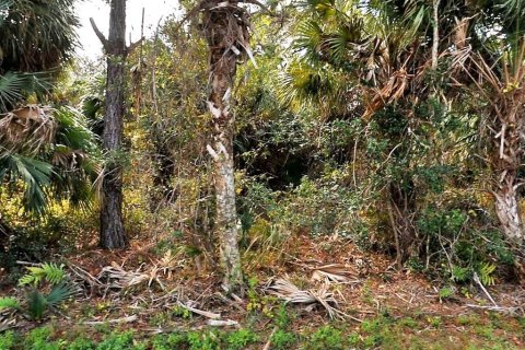 Land in North Port, Florida № 2113113