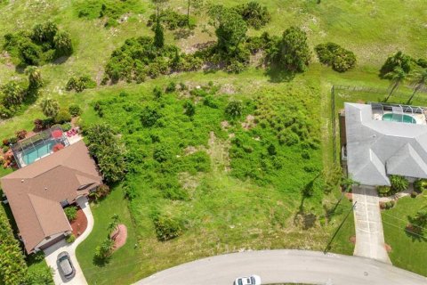 Land in Rotonda, Florida № 1842235 - photo 12