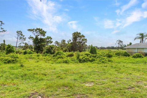 Land in Rotonda, Florida № 1842235 - photo 4
