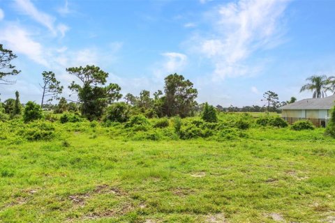 Land in Rotonda, Florida № 1842235 - photo 3