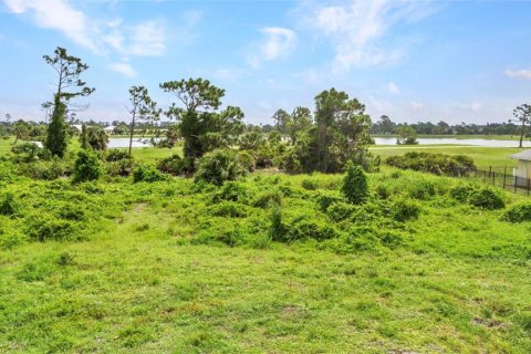 Land in Rotonda, Florida № 1842235 - photo 6