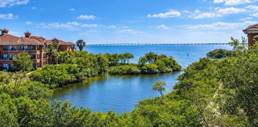 Condo in Clearwater, Florida, 4 bedrooms  № 2379469