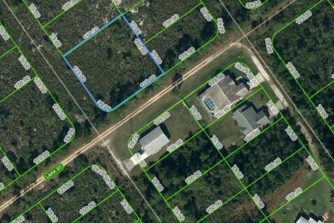 Land in Lake Placid, Florida № 2224135