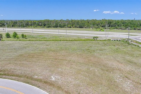 Land in Punta Gorda, Florida № 1751715 - photo 12