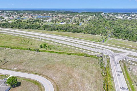 Land in Punta Gorda, Florida № 1751715 - photo 9