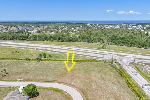 Land in Punta Gorda, Florida № 1751715 - photo 1