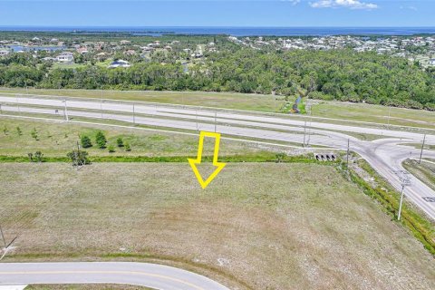 Land in Punta Gorda, Florida № 1751715 - photo 4