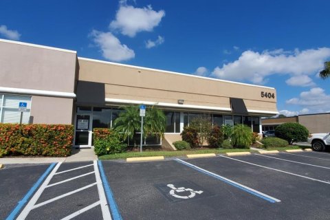 Commercial property in Tampa, Florida 124.86 sq.m. № 1880543 - photo 1