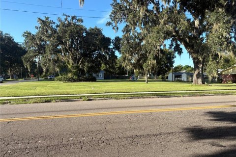 Terrain à vendre à Fort Meade, Floride № 1908317 - photo 4
