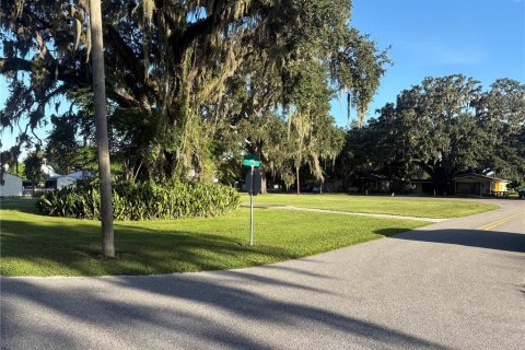 Terrain à vendre à Fort Meade, Floride № 1908317 - photo 2