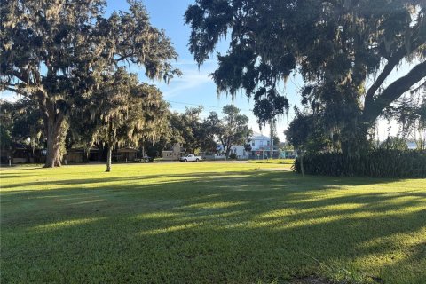 Terrain à vendre à Fort Meade, Floride № 1908317 - photo 3