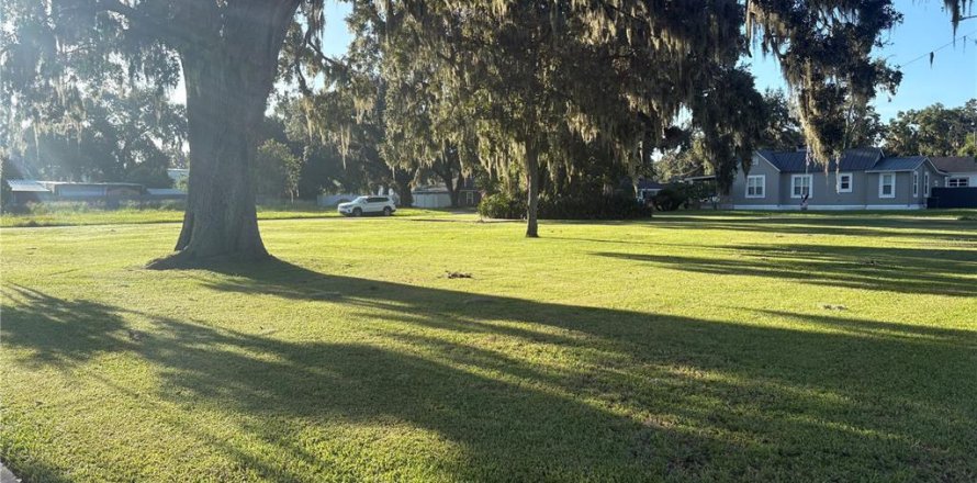 Terrain à Fort Meade, Floride № 1908317