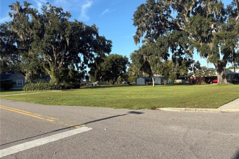 Terrain à vendre à Fort Meade, Floride № 1908317 - photo 5