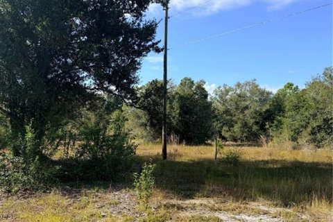 Land in Punta Gorda, Florida № 2213156 - photo 4