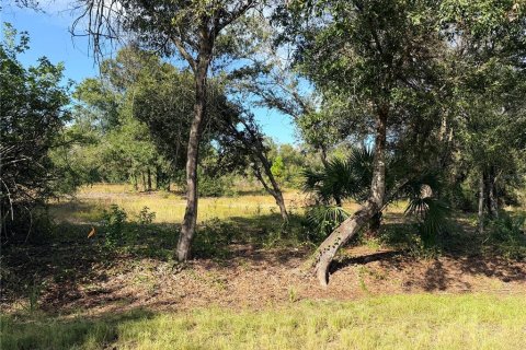 Land in Punta Gorda, Florida № 2213156 - photo 6