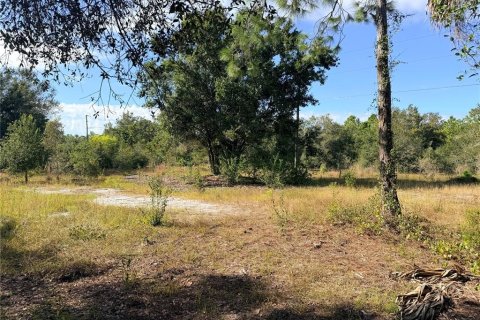 Land in Punta Gorda, Florida № 2213156 - photo 7