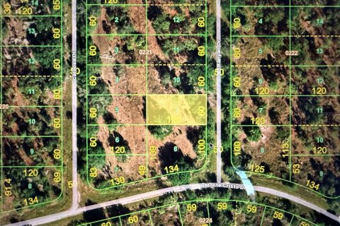 Land in Punta Gorda, Florida № 2213156 - photo 2