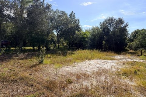 Land in Punta Gorda, Florida № 2213156 - photo 3