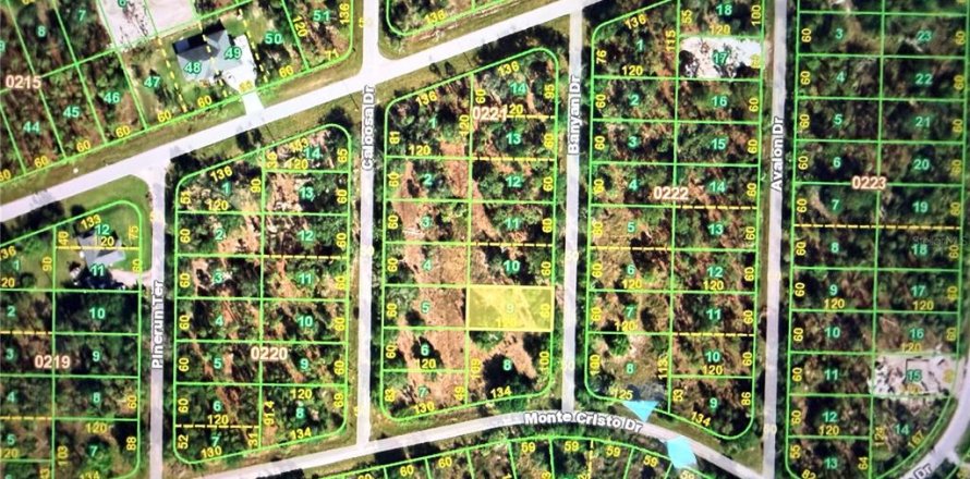 Land in Punta Gorda, Florida № 2213156