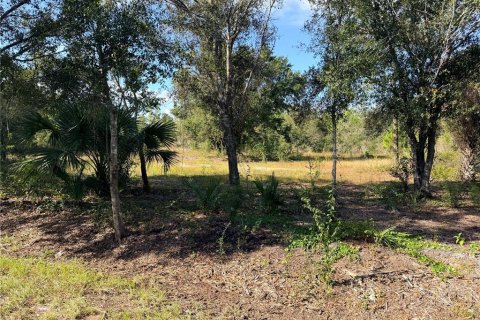 Land in Punta Gorda, Florida № 2213156 - photo 5