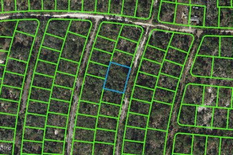 Land in Lake Placid, Florida № 2160498