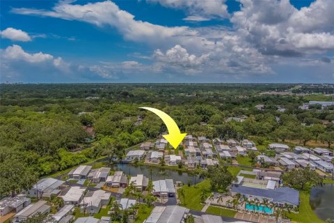 Land in Clearwater, Florida № 2224353 - photo 29