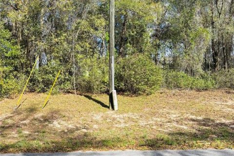 Terrain à vendre à Ocala, Floride № 2228878 - photo 6