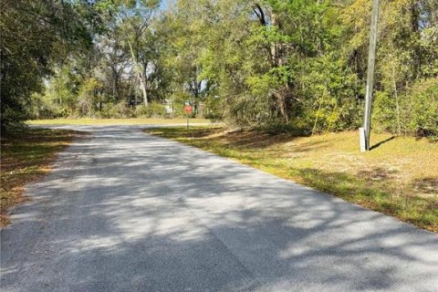 Terrain à vendre à Ocala, Floride № 2228878 - photo 3