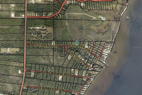Land in Milton, Florida № 2161439 - photo 3