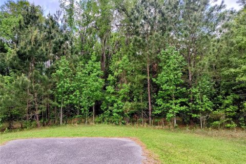 Terrain à vendre à Williston, Floride № 2239567 - photo 6
