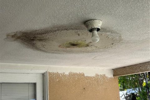 Casa en venta en Pinellas Park, Florida, 2 dormitorios, 70.51 m2 № 2387636 - foto 5