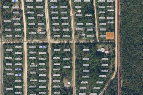 Terrain à Interlachen, Floride № 2228836