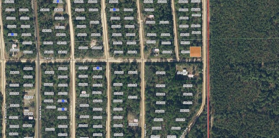 Terrain à Interlachen, Floride № 2228836