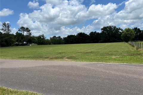 Land in Trenton, Florida № 1849404 - photo 1