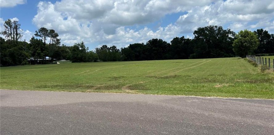 Land in Trenton, Florida № 1849404