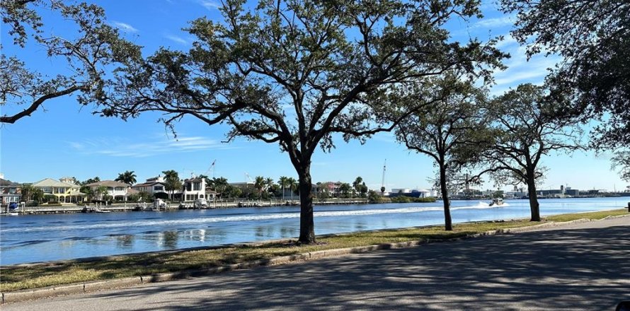 Land in Tampa, Florida № 1737030