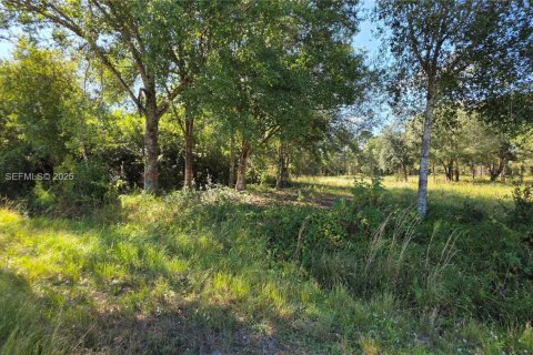 Commercial property in Clewiston, Florida № 1988086 - photo 6