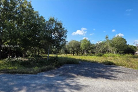 Commercial property in Clewiston, Florida № 1988086 - photo 4