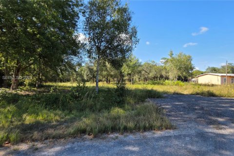 Commercial property in Clewiston, Florida № 1988086 - photo 21