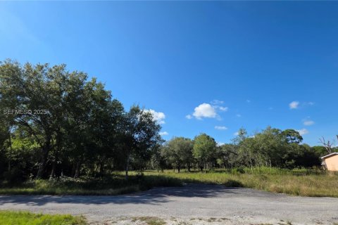 Commercial property in Clewiston, Florida № 1988086 - photo 15