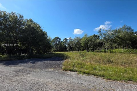 Commercial property in Clewiston, Florida № 1988086 - photo 2