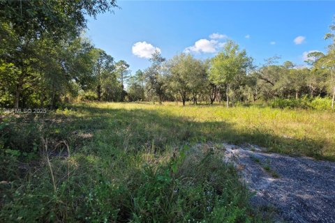 Commercial property in Clewiston, Florida № 1988086 - photo 8