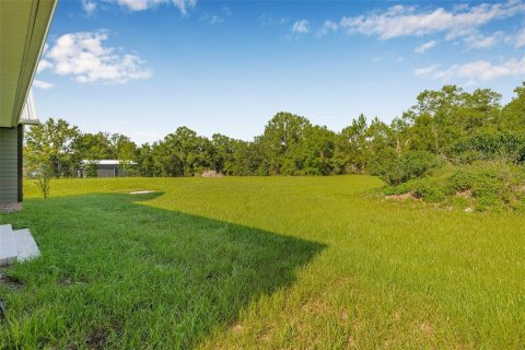 House in Wesley Chapel, Florida 2 bedrooms, 181.62 sq.m. № 1810132 - photo 25