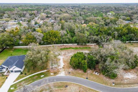 Land in Lutz, Florida № 2214856 - photo 20