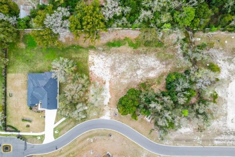 Land in Lutz, Florida № 2214856 - photo 21