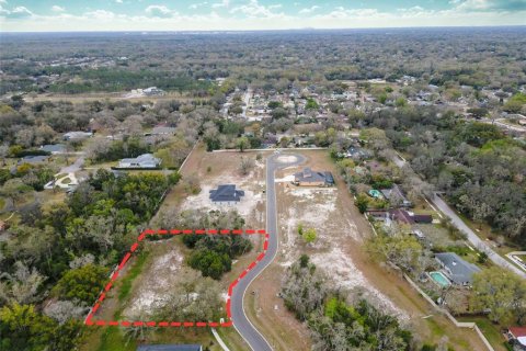 Land in Lutz, Florida № 2214856 - photo 3