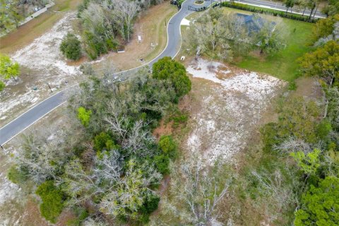 Land in Lutz, Florida № 2214856 - photo 19