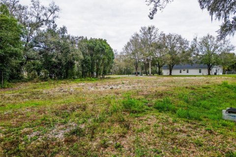Land in Lutz, Florida № 2214856 - photo 25