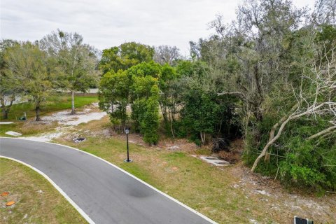 Land in Lutz, Florida № 2214856 - photo 9